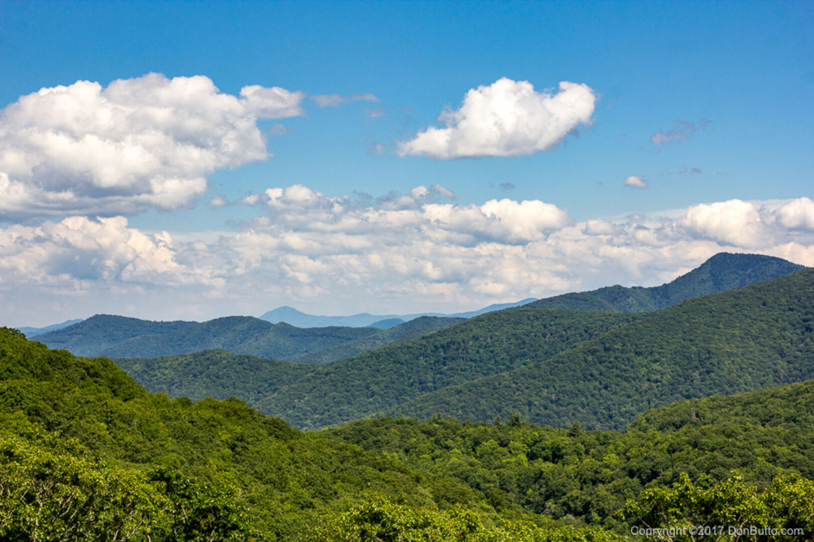 Scenic / Nature Photography